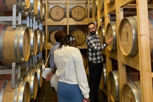 Excursión de degustación de vinos, Excursión opcional por los viñedos y paseos en kayak