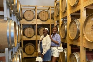 Excursión de degustación de vinos, Excursión opcional por los viñedos y paseos en kayak