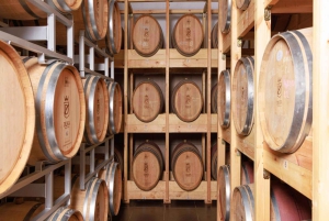 Тур с дегустацией вин, дополнительная экскурсия по винному двору и катание на каяках