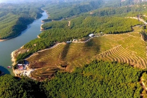 Тур с дегустацией вин, дополнительная экскурсия по винному двору и катание на каяках