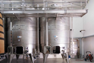 Тур с дегустацией вин, дополнительная экскурсия по винному двору и катание на каяках