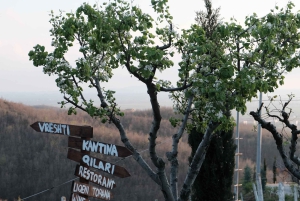 Тур с дегустацией вин, дополнительная экскурсия по винному двору и катание на каяках