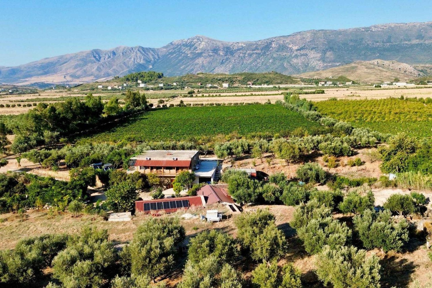 Wine Tasting & Traditional Albanian Food in Dukat