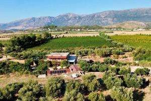 Weinprobe & traditionelles albanisches Essen in Dukat