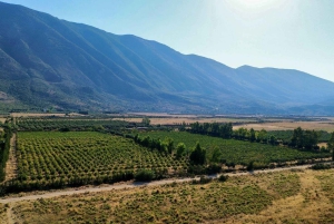 Weinprobe & traditionelles albanisches Essen in Dukat