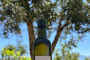 Weinprobe & traditionelles albanisches Essen in Dukat