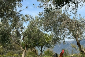 Weinprobe & traditionelles albanisches Essen in Dukat