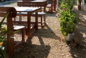 Weinprobe & traditionelles albanisches Essen in Dukat