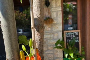 Weinprobe & traditionelles albanisches Essen in Dukat