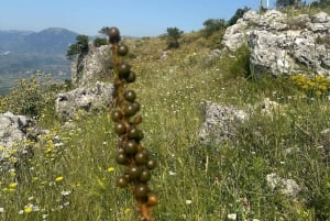 La vallée cachée de Zagoria : circuit en 4x4 à travers villages, patrimoine et cascades