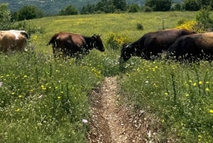 La vallée cachée de Zagoria : circuit en 4x4 à travers villages, patrimoine et cascades