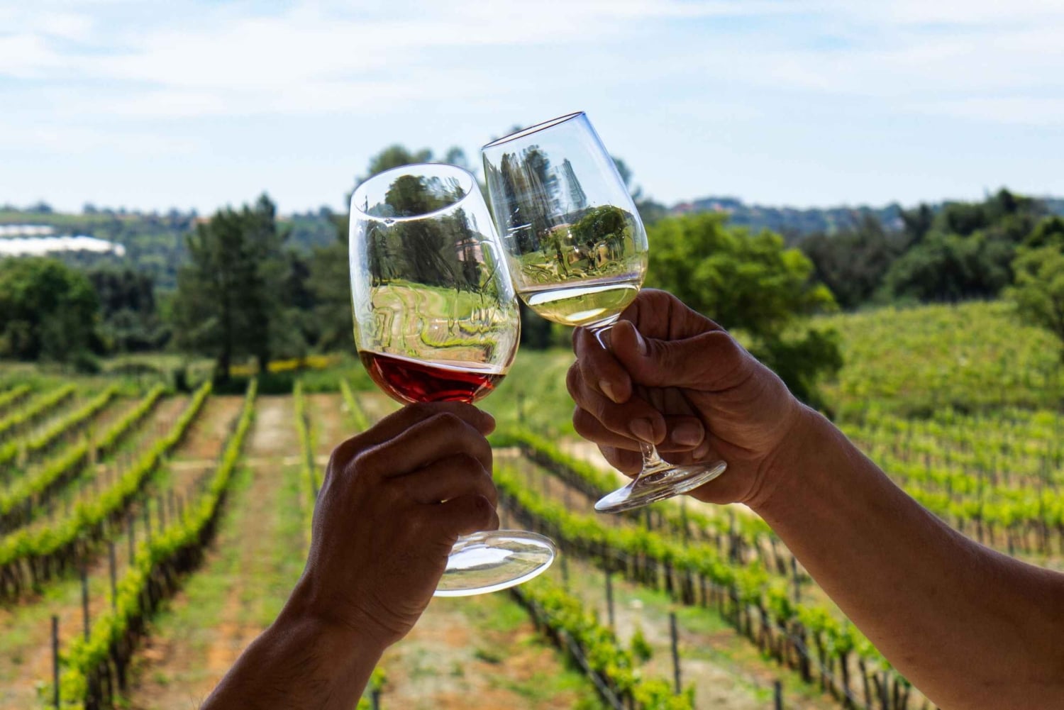 From Albufeira: Wine Tasting & Historic Silves Tour