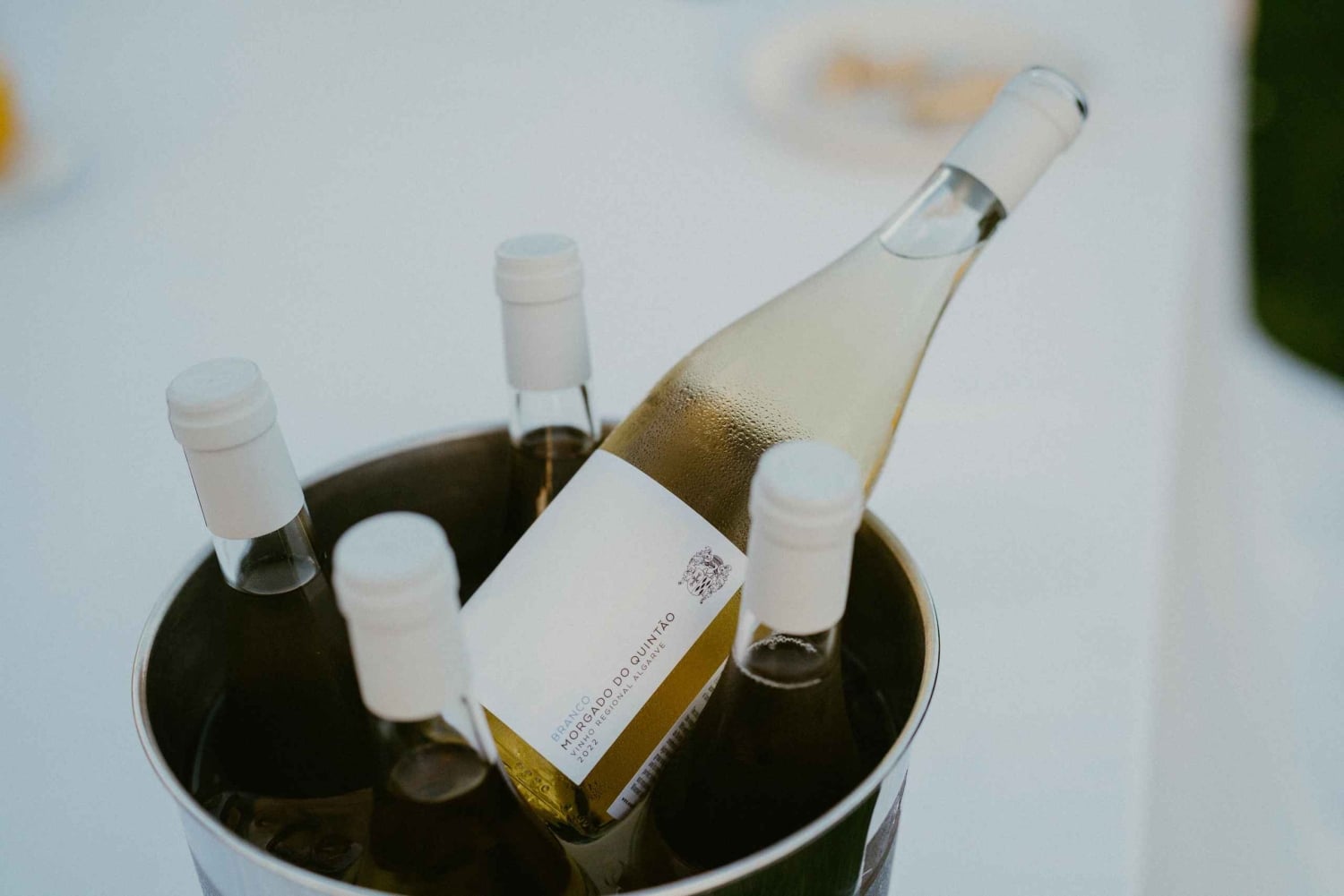 Wine Break