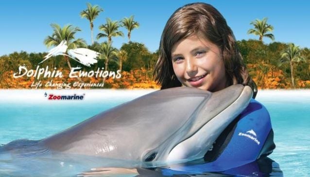 Dolphin time