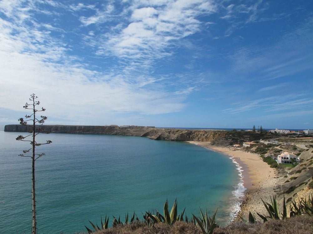 Observación de aves en el Algarve