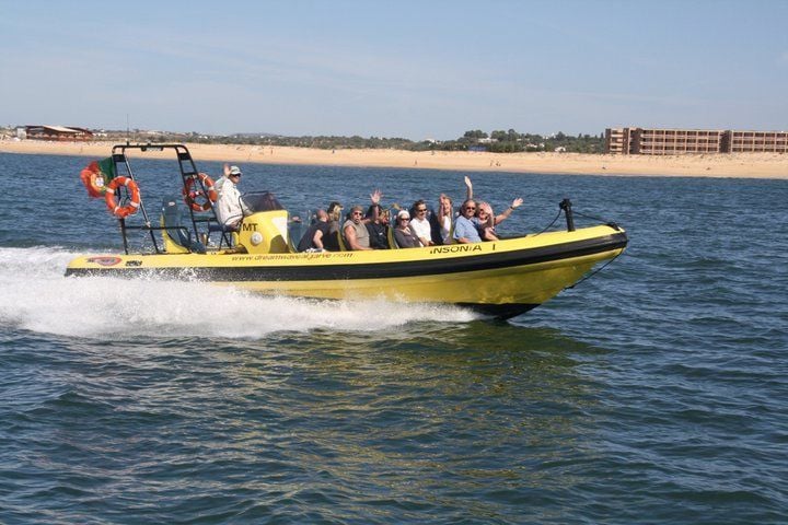 Dolphin watching in the Algarve