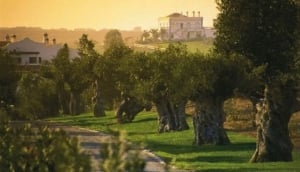 Birdwatching by boat