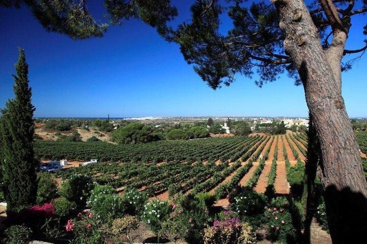 Adega do Cantor, Algarve