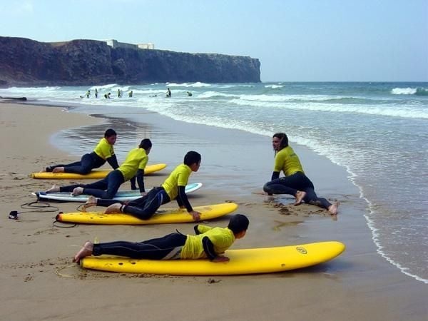 Learn to surf on Surfari with Portitours
