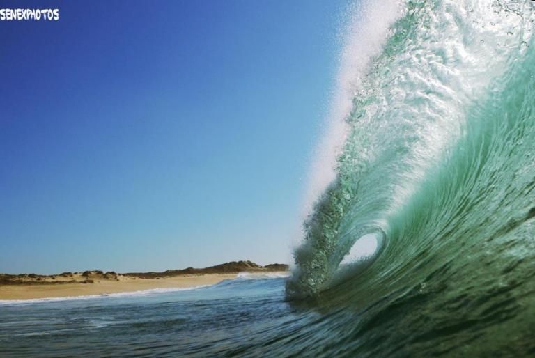 Surfing in Algarve