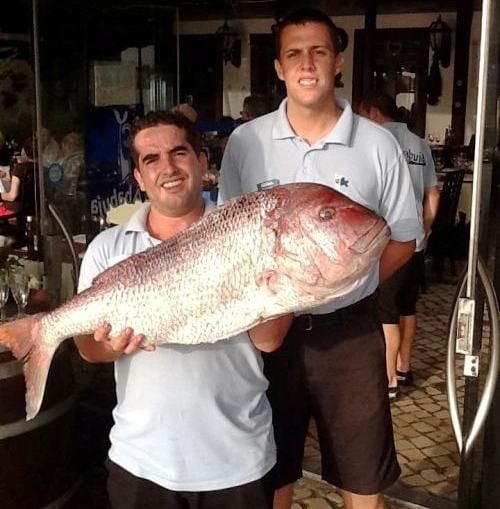 Fresh fish at Ababuja Restaurant, Alvor, Algarve