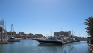 A Continental Culture