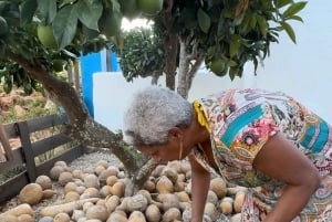 20 minutes away from Albufeira: Gourd Crafting Workshop