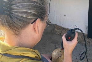 20 minutes away from Albufeira: Gourd Crafting Workshop