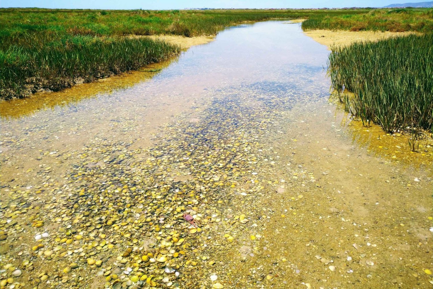 Klassieke boottocht van 4 uur, natuurpark Ria Formosa, Olhão.