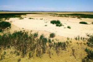 4 Stunden klassische Bootsfahrt, Ria Formosa Naturpark, Olhão.