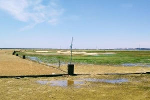 4 Stunden klassische Bootsfahrt, Ria Formosa Naturpark, Olhão.