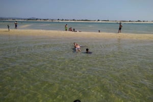 4 Stunden klassische Bootsfahrt, Ria Formosa Naturpark, Olhão.