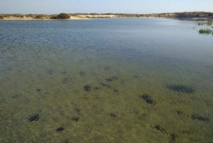 4 Stunden klassische Bootsfahrt, Ria Formosa Naturpark, Olhão.