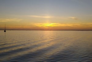 4 Stunden klassische Bootsfahrt, Ria Formosa Naturpark, Olhão.