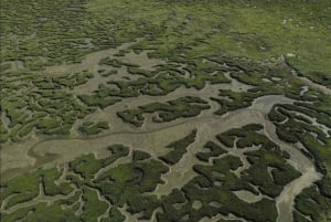 4 Stunden klassische Bootsfahrt, Ria Formosa Naturpark, Olhão.