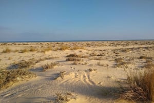 4 Stunden klassische Bootsfahrt, Ria Formosa Naturpark, Olhão.