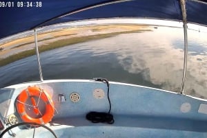 4 Stunden klassische Bootsfahrt, Ria Formosa Naturpark, Olhão.