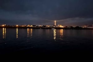 4 hour Classic Boat Cruise, Ria Formosa Natural Park, Olhão.