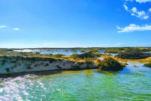 4 Stunden klassische Bootsfahrt, Ria Formosa Naturpark, Olhão.