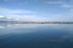 4 Stunden klassische Bootsfahrt, Ria Formosa Naturpark, Olhão.