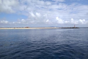 4 hour Classic Boat Cruise, Ria Formosa Natural Park, Olhão.