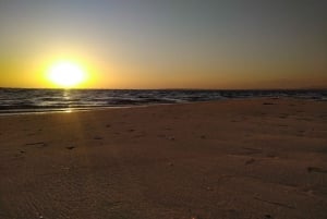 4 hour Classic Boat Cruise, Ria Formosa Natural Park, Olhão.