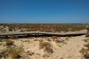 4 hour Classic Boat Cruise, Ria Formosa Natural Park, Olhão.