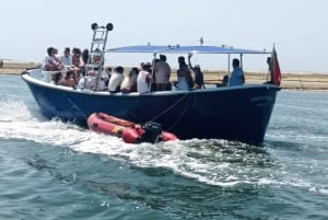 4 hour Classic Boat Cruise, Ria Formosa Natural Park, Olhão.