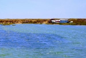 4 Stunden klassische Bootsfahrt, Ria Formosa Naturpark, Olhão.