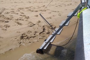 4 Stunden klassische Bootsfahrt, Ria Formosa Naturpark, Olhão.