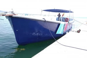 4 hour Classic Boat Cruise, Ria Formosa Natural Park, Olhão.