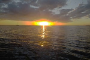 4 hour Classic Boat Cruise, Ria Formosa Natural Park, Olhão.