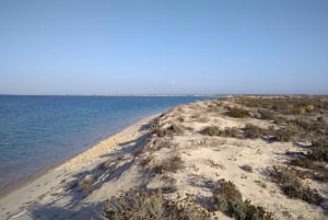 4 Stunden klassische Bootsfahrt, Ria Formosa Naturpark, Olhão.