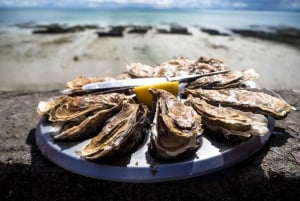 4 hour Classic Boat Cruise, Ria Formosa Natural Park, Olhão.